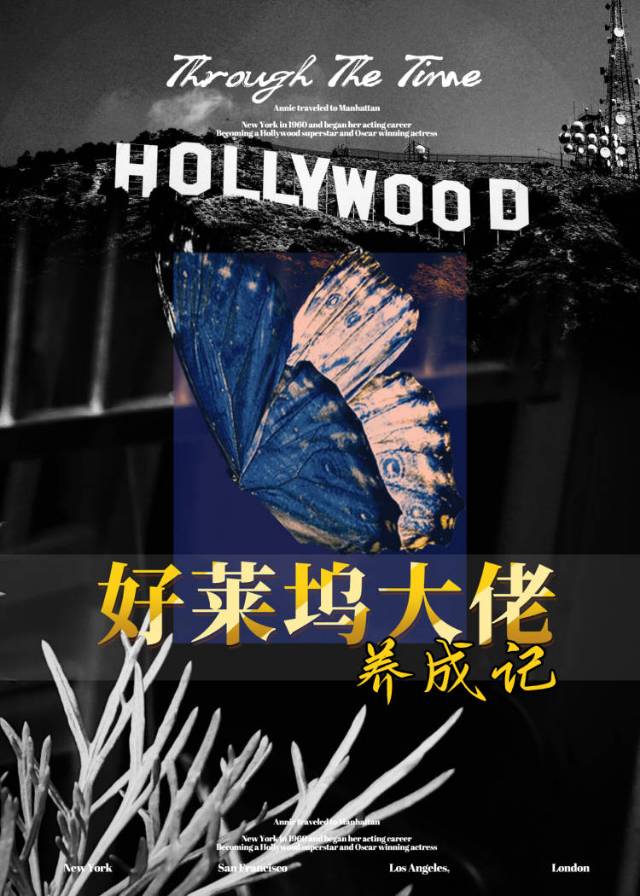 【美娱】好莱坞大佬养成记