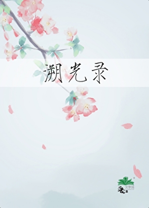 溯光录