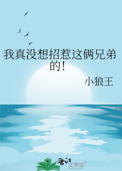 我真没想招惹这俩兄弟的！