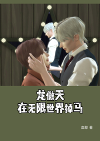 龙傲天单机游戏