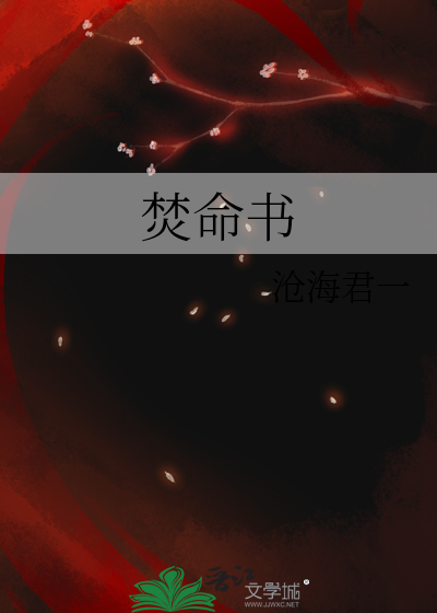 焚命书