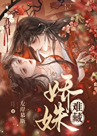 娇姝小说
