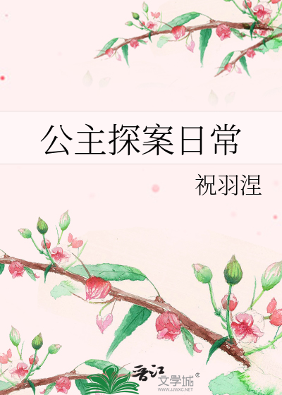 数学公主探案读后感