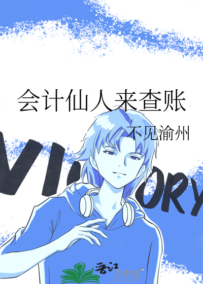 会计仙人来查账